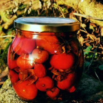 Шиповник в шафрановом сиропе «Камешки с коралловыми ягодами»