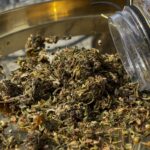 Fermentuoti kanapių lapai ir žiedai