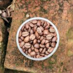 Arabika kavos pupelės