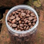 Arabika kavos pupelės