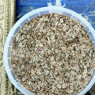 Семена укропа