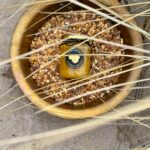 Amber honey – honey with amber