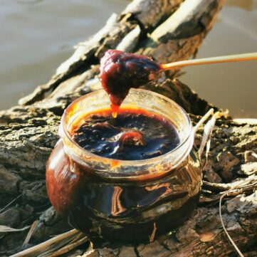 Шоколадное пирожное «Радость для дам» с голубой сливой