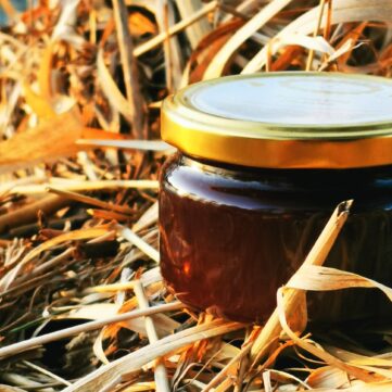 Сальса из дикого чили