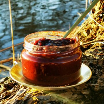 Клюквенно-апельсиновый соус чили «Клюквенный язык чили»