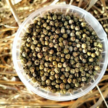 Зеленый перец