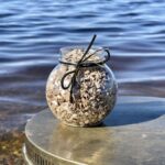 Корень цикория