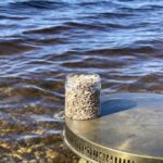 Корень цикория