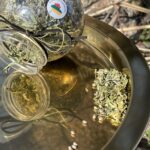 Kanapių žiedų arbata