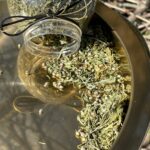 Kanapių žiedų arbata