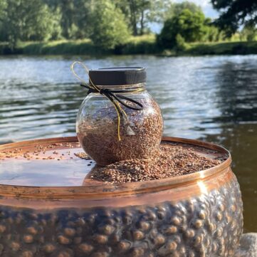 Льняное семя