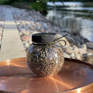 Семена марганцовки