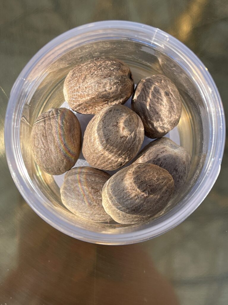 Мускатный орех