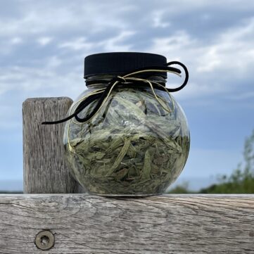 Листья стевии — стевия, измельченная