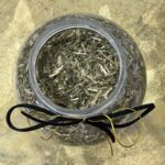 Siauralapis gaurometis, "Ivan čai"