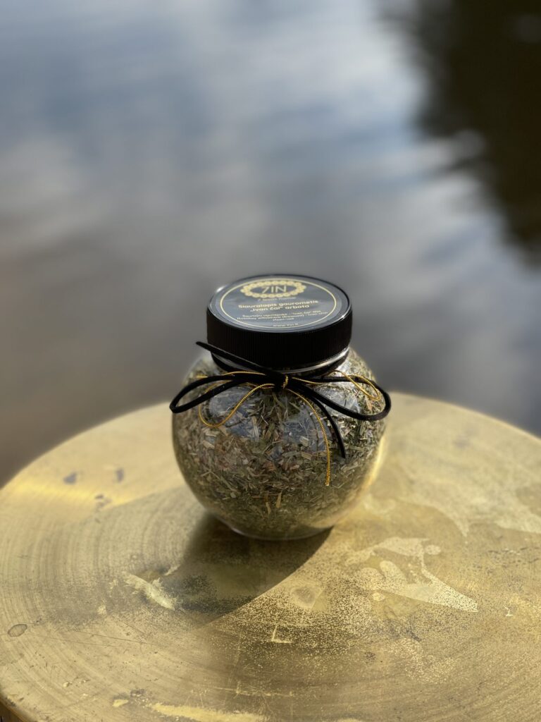 Siauralapis gaurometis, "Ivan čai"